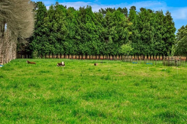 Photo of property in 334 Waitara Road, Huirangi, Waitara, 4382