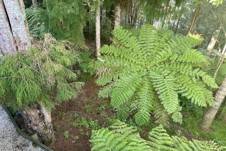 Photo of property in 77e Colwill Road, Massey, Auckland, 0614