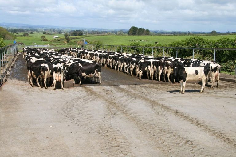 Photo of property in 343 Opunake Road, Cardiff, Stratford, 4391