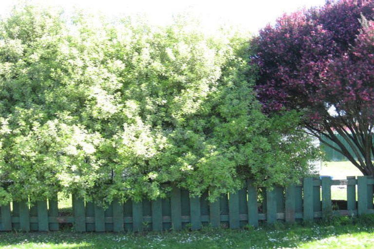 Photo of property in 281 Spinley Street, Te Awamutu, 3800