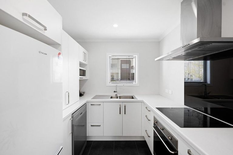 Photo of property in 66 Tennille Street, Flagstaff, Hamilton, 3210