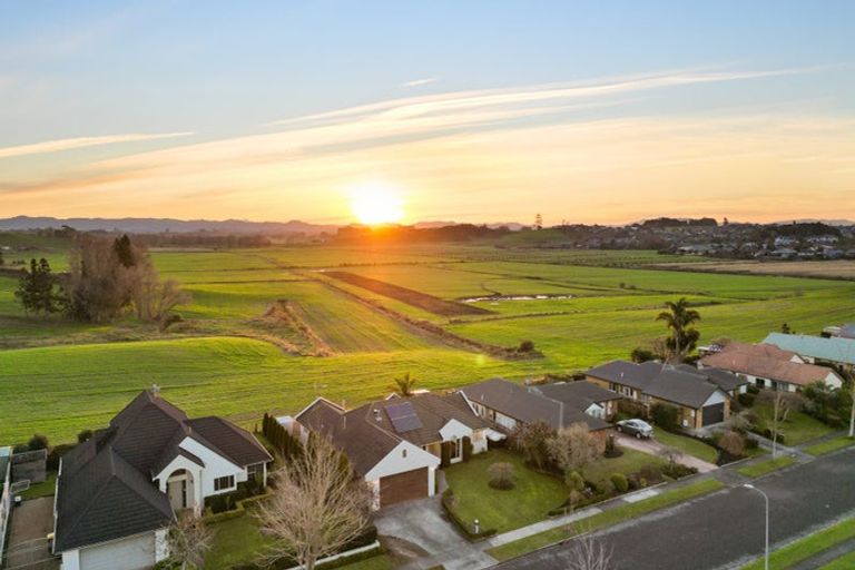 Photo of property in 288 Grandview Road, Western Heights, Hamilton, 3200