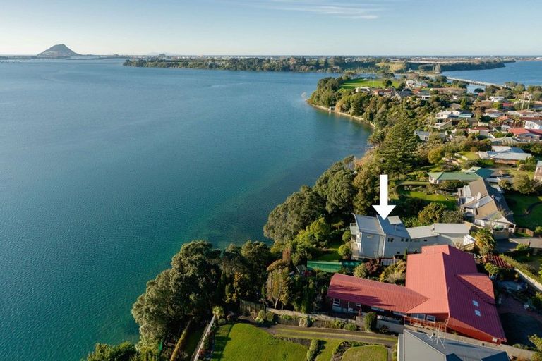 Photo of property in 360 Maungatapu Road, Maungatapu, Tauranga, 3112