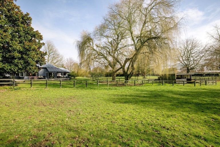 Photo of property in 31 Racecourse Road, Cambridge, 3493