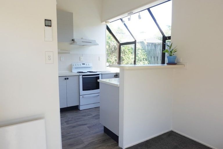 Photo of property in 1/163 Balmain Road, Birkenhead, Auckland, 0626