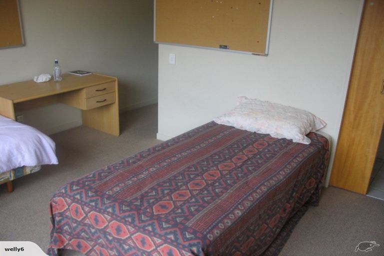 Photo of property in 191 Tasman Street, Mount Cook, Wellington, 6021