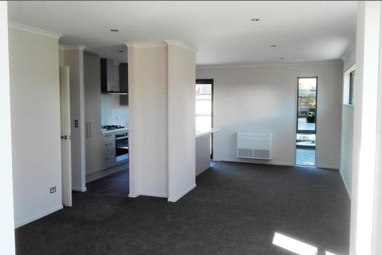 Photo of property in 165 Petrie Street, Richmond, Christchurch, 8013