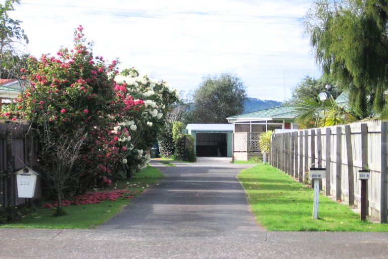 Photo of property in 233 Maungatapu Road, Maungatapu, Tauranga, 3112