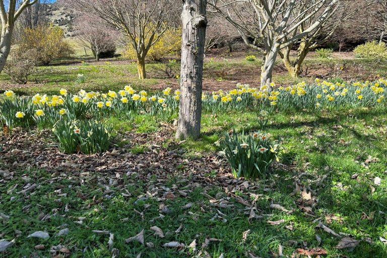 Photo of property in 599 Mount Barker Road, Wanaka, 9382