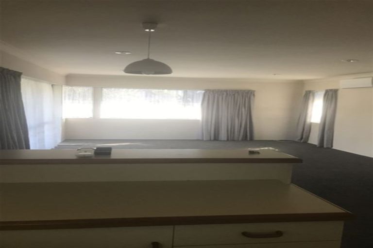 Photo of property in 71a Campbell Road, Mount Maunganui, 3116