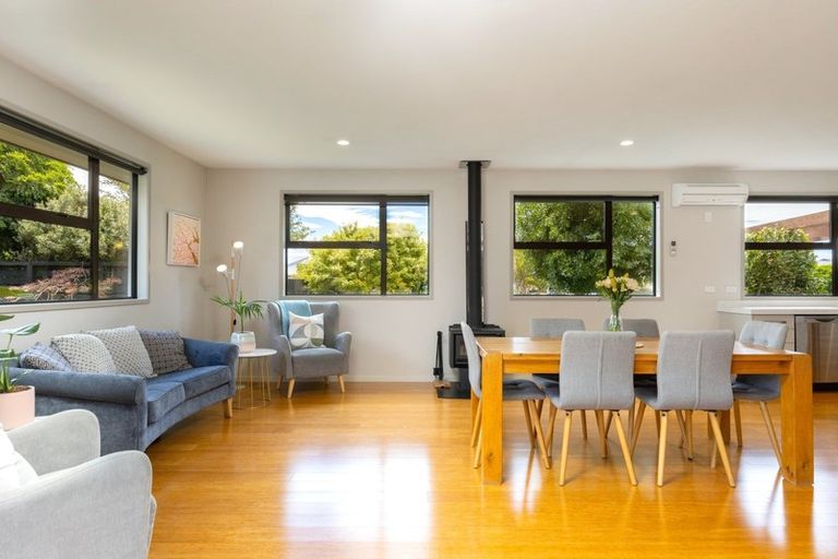 Photo of property in 17 Hilton Place, Blenheim, 7201