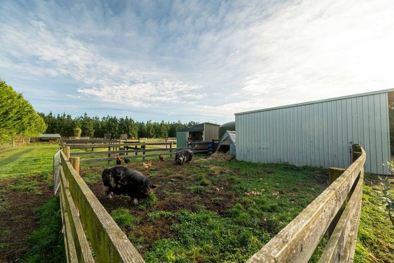 Photo of property in 237 Depot Road, Burnt Hill, Oxford, 7495