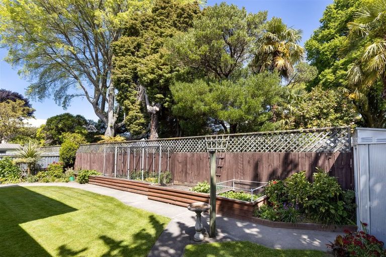 Photo of property in 7a Carr Street, Blenheim, 7201