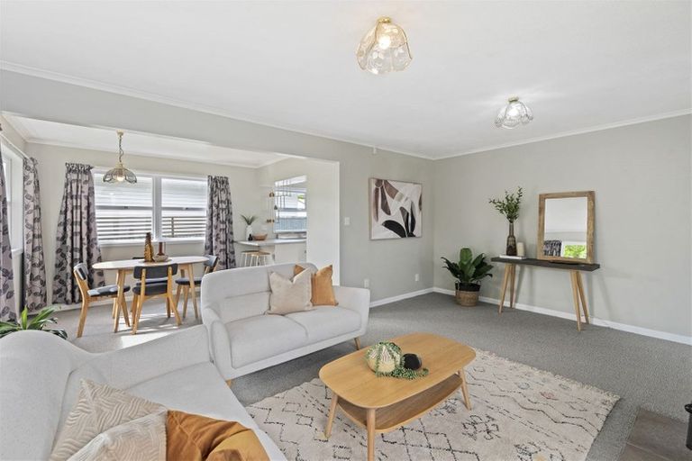 Photo of property in 11 Duke Street, Levin, 5510
