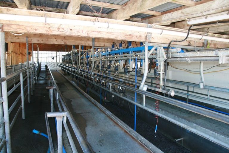 Photo of property in 343 Opunake Road, Cardiff, Stratford, 4391