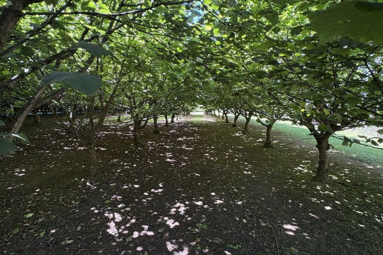 Photo of property in 459 Flora East, Makarewa, Invercargill, 9876