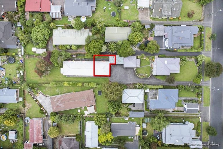 Photo of property in 58a Firth Street, Hamilton East, Hamilton, 3216