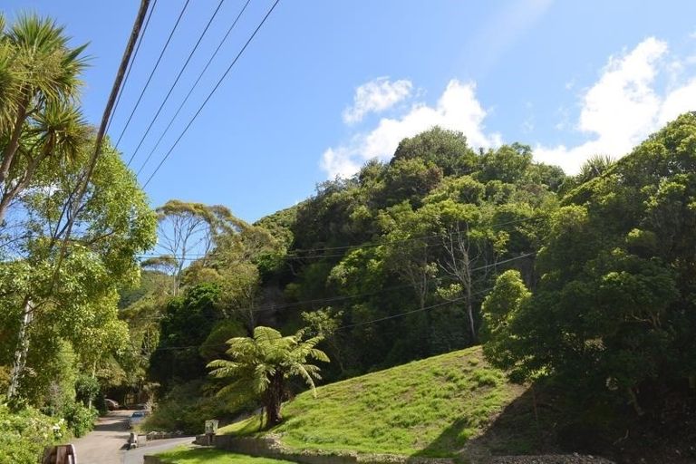 Photo of property in 113 Holloway Road, Aro Valley, Wellington, 6021