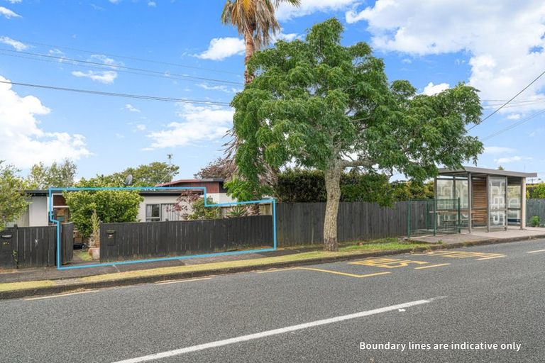 Photo of property in 87 Nikau Street, New Lynn, Auckland, 0600