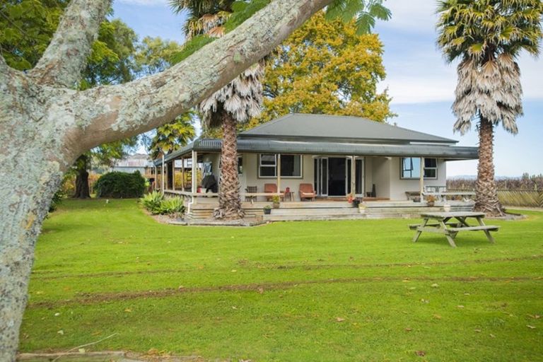Photo of property in 144 Ngakoroa Road, Ormond, Gisborne, 4071