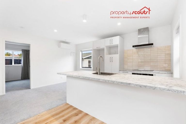 Photo of property in 3 Shortland Place, Havelock North, 4130
