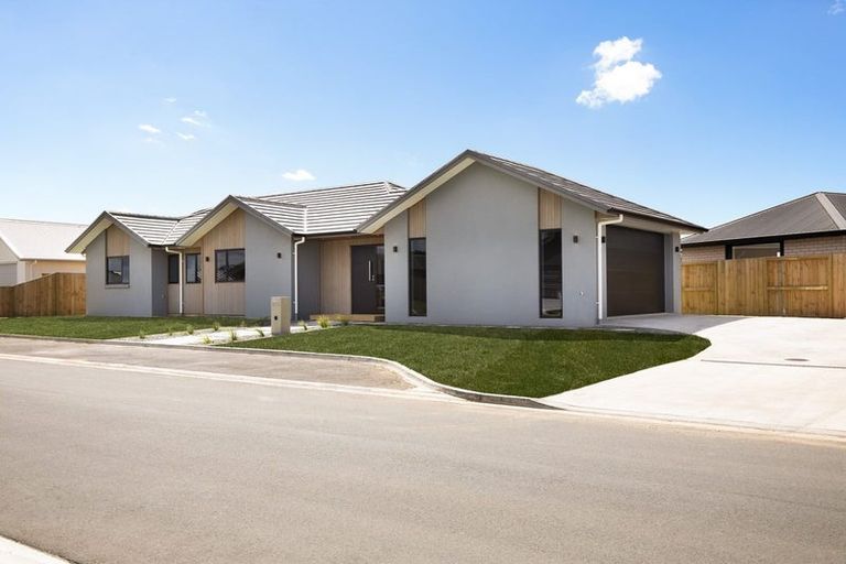 Photo of property in 15 Kereruu Street, Cambridge, 3434