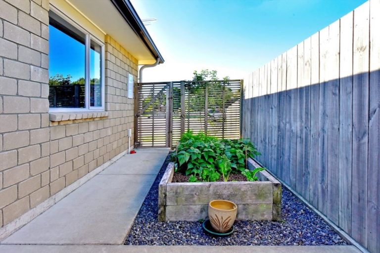 Photo of property in 67 James Street, Whakatane, 3120