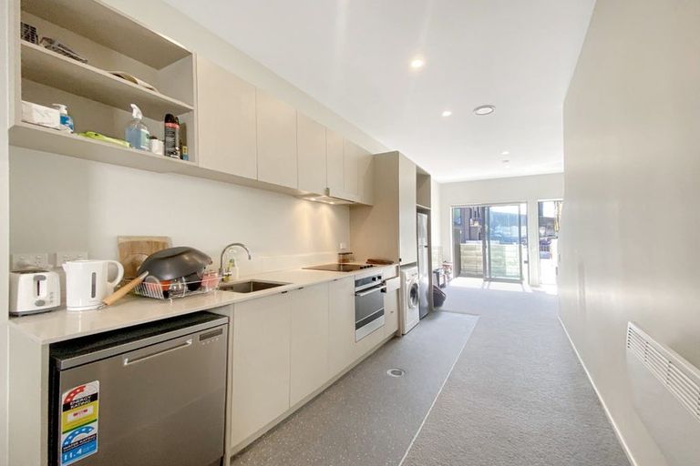 Photo of property in Aniva Terrace, 14 Arney Street, Newtown, Wellington, 6021