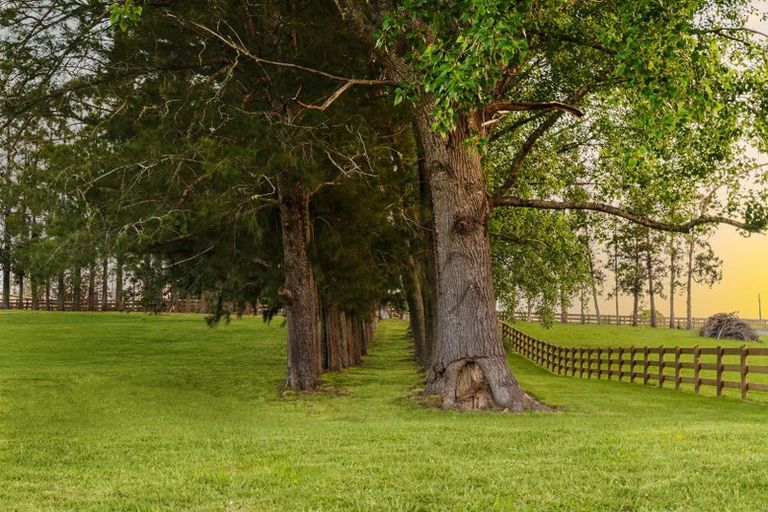 Photo of property in 713 Ararimu Valley Road, Helensville, 0882