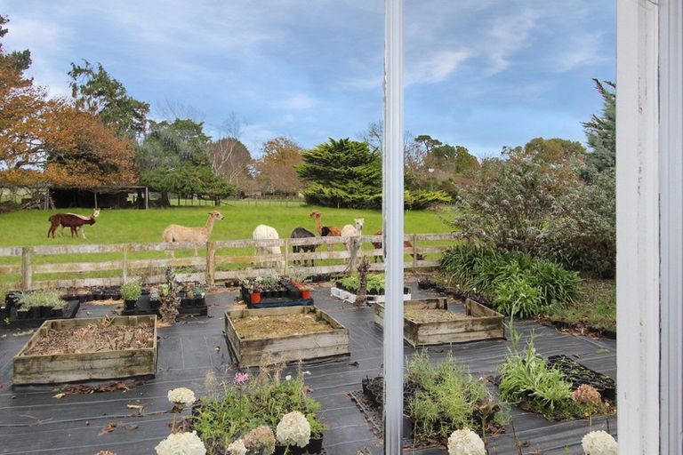Photo of property in 81929 State Highway 2, Pahiatua, 4984