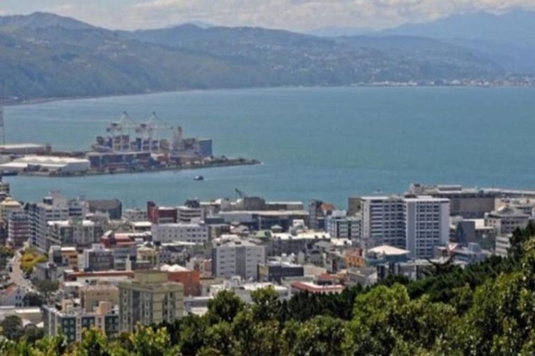 Photo of property in 3c/145 Ohiro Road, Brooklyn, Wellington, 6021