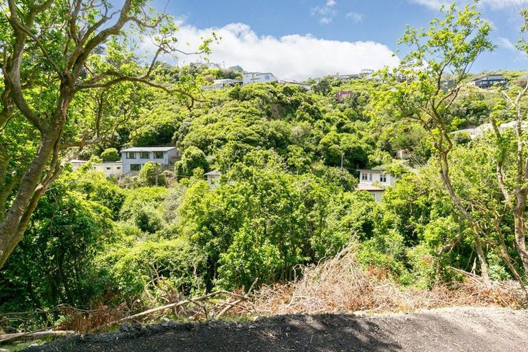 Photo of property in 344 Ohiro Road, Brooklyn, Wellington, 6021