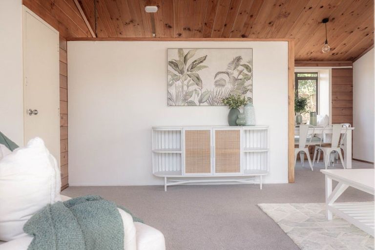 Photo of property in 66 Campbell Road, Mount Maunganui, 3116