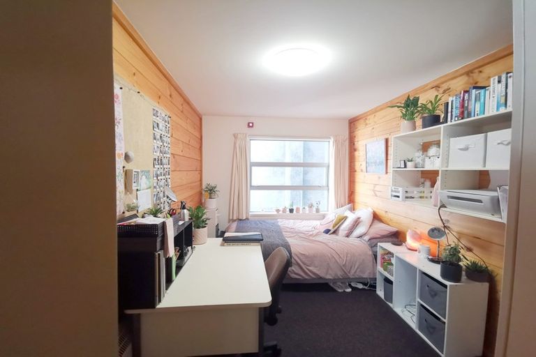 Photo of property in Drummond Street Flats, 19u1 Drummond Street, Mount Cook, Wellington, 6021