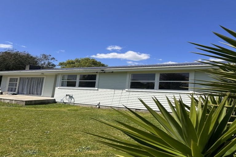Photo of property in 6 Nelson Street, Levin, 5510