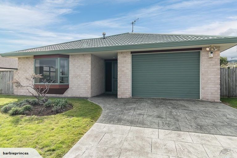 Photo of property in 135 Guildford Drive, Paraparaumu Beach, Paraparaumu, 5032