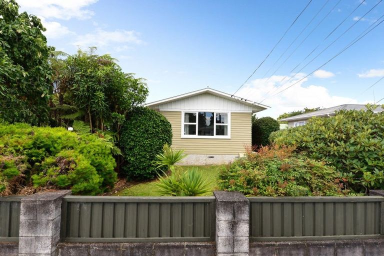 Photo of property in 12 Carlyle Avenue, Chartwell, Hamilton, 3210