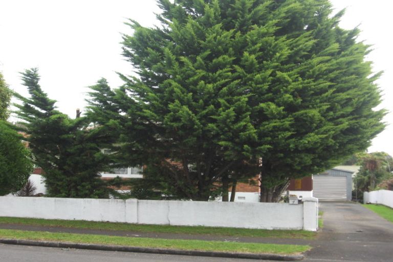 Photo of property in 4 Jutland Road, Manurewa, Auckland, 2102