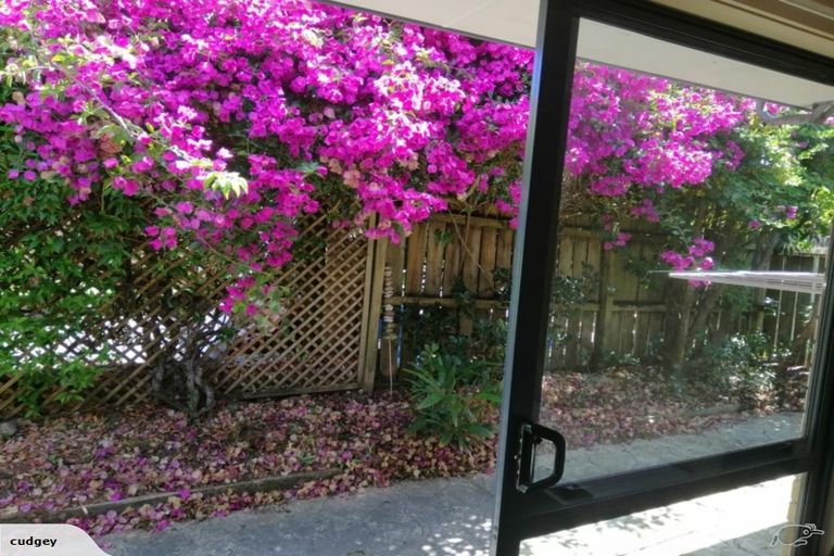 Photo of property in 52 Bass Road, Albany, Auckland, 0632