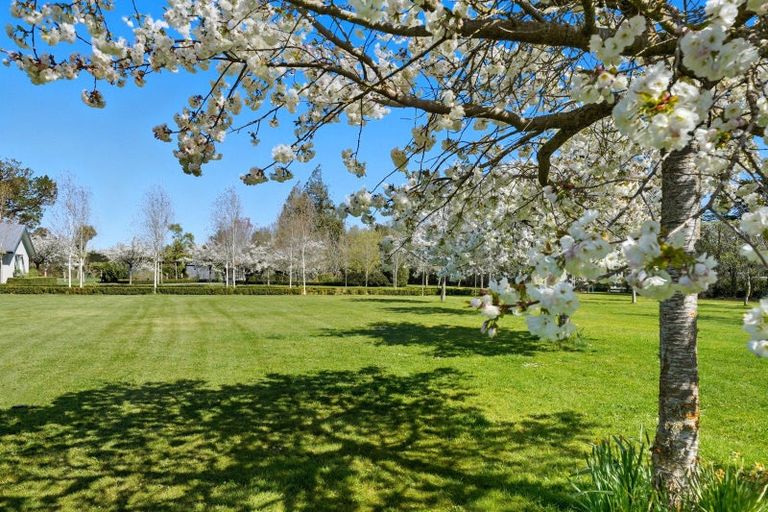 Photo of property in 418a Woodfields Road, Swannanoa, Rangiora, 7475