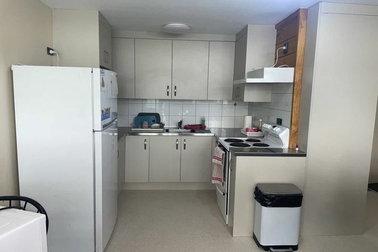 Photo of property in Te Awhina Apartments, 22u5 Sussex Street, Mount Cook, Wellington, 6021
