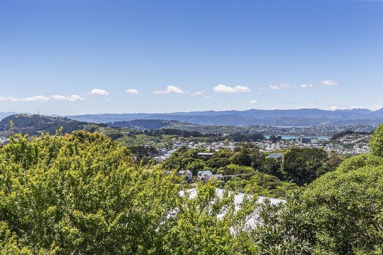 Photo of property in 25u8 Mana Street, Vogeltown, Wellington, 6021
