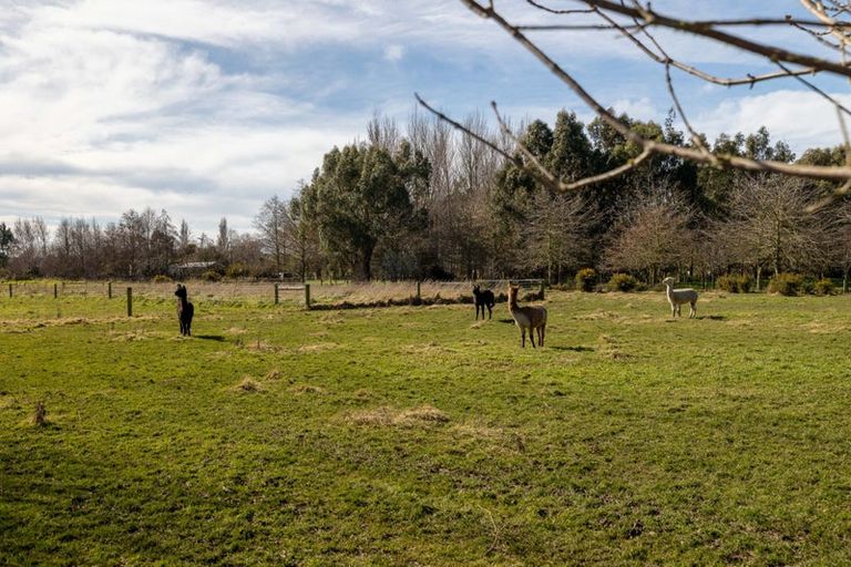 Photo of property in 434 Collins Road, Springston, Christchurch, 7674