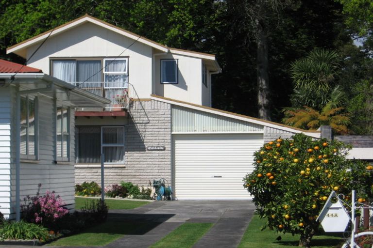 Photo of property in 44a Harrier Street, Parkvale, Tauranga, 3112