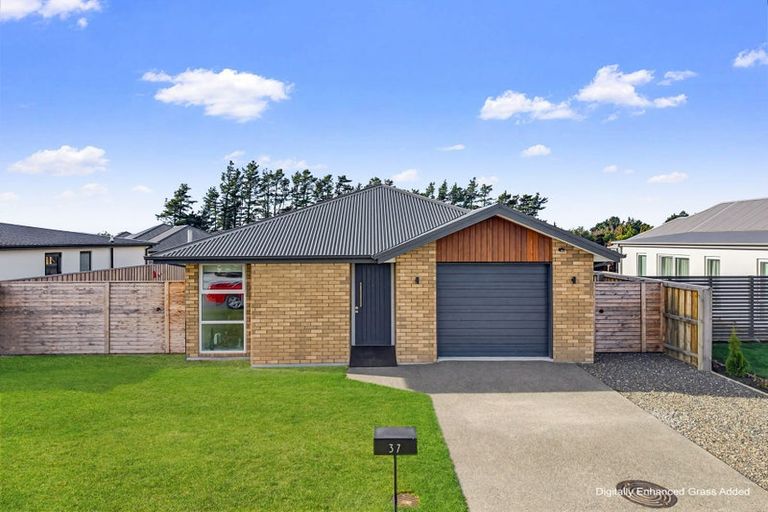 Photo of property in 37 Greig Crescent, Amberley, 7410