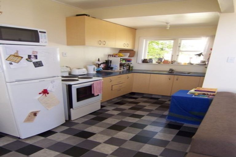 Photo of property in 113 Coromandel Street, Newtown, Wellington, 6021
