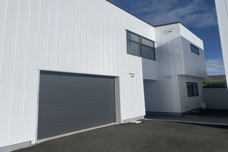 Photo of property in 195u1 Massey Street, Frankton, Hamilton, 3204