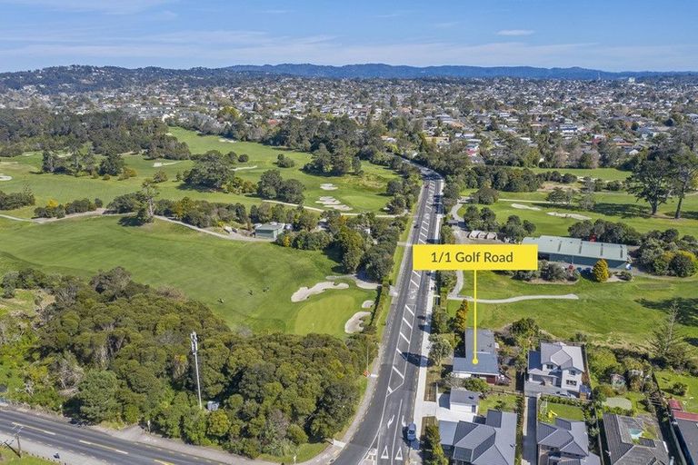 Photo of property in 1 Golf Road, New Lynn, Auckland, 0600