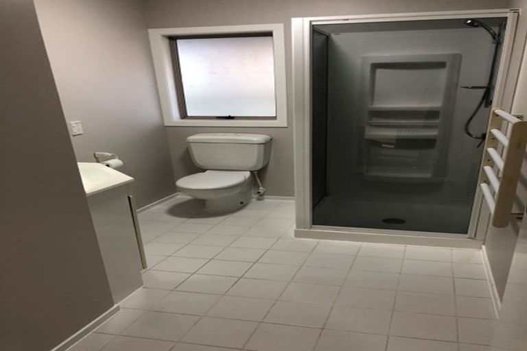 Photo of property in 91e Lake Domain Drive, Frankton, Hamilton, 3204