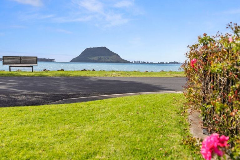 Photo of property in 3a Seaway Terrace, Otumoetai, Tauranga, 3110
